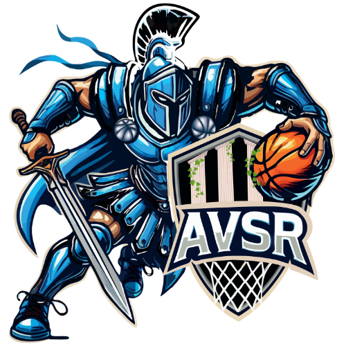 Logo AMPUIS VIENNE SAINT ROMAIN REVENTIN BASKET